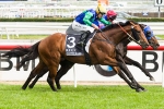 All Too Hard at his best winning the Caulfield Guineas