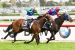 Australian Guineas Attracts 76 Nominations