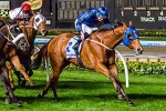 Buffering Primed to Continue Spring Success in Schillaci Buffering Primed to Continue Spring Success in Schillaci