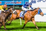 Buffering is ready to win First Group 1 in Manikato stakes