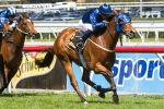 Buffering stamped himself as best sprinter with Schillaci Stakes win