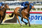 Buffering to take on Black Caviar in T J Smith