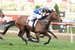 The Everest Still The Target For Brave Smash The Everest Still The Target For Brave Smash