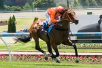 Newitt needs ‘a little bit of luck’ in the Magic Millions 2yo Classic Newitt needs ‘a little bit of luck’ in the Magic Millions 2yo Classic