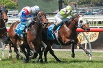 Boss has top Victroia Derby ride