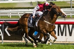Epaulette looking to upset Pierro in Caulfield Guineas Epaulette looking to upset Pierro in Caulfield Guineas