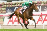 Fiveandahalfstar’s Melbourne Cup Hopes Hang In The Balance
