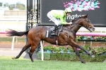 Royal Symphony Cements Ladbrokes Caulfield Guineas Favourtism