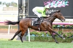 Royal Symphony Cements Ladbrokes Caulfield Guineas Favourtism Royal Symphony Cements Ladbrokes Caulfield Guineas Favourtism