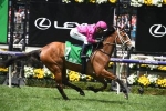 Sapphire Stakes Results 2020: Sure Knee Continues Waller Wins