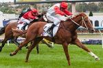 Hidden Warrior Leads All The Way in Telstra PhoneWords Stakes