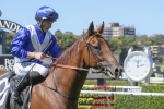 Hawkesbury Guineas Up Next for South Pacific Winner Indy Car