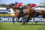 Queen Of The Turf Stakes An Option For Invincible Gem After Emancipation Stakes Queen Of The Turf Stakes An Option For Invincible Gem After Emancipation Stakes