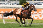 Letzbeglam to get a better run from barrier 3 in 2020 Blue Diamond Stakes