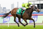 Adelaide Fillies Have Strong Thousand Guineas Presence