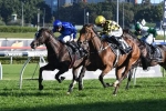 2018 Spring Champion Stakes Results: Maid Of Heaven Records Upset Win
