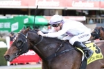 2017 Naturalism Stakes Day Results: Leather’N’Lace Wins The Opener 2017 Naturalism Stakes Day Results: Leather’N’Lace Wins The Opener