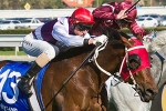 Ocean Park set to dominate Caulfield Stakes