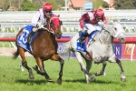 Voila Ici to be on best behaviour for Caulfield Cup Voila Ici to be on best behaviour for Caulfield Cup