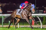 Pierro Dominant on Way to Guineas