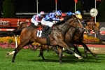 2019 Australasian Oaks Results: Princess Jenni Wins 2019 Australasian Oaks Results: Princess Jenni Wins