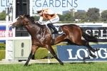 2017 Golden Rose Stakes Day Results: Every Race Covered 2017 Golden Rose Stakes Day Results: Every Race Covered