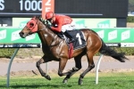 Redzel To The Everest After The Shorts Win Redzel To The Everest After The Shorts Win