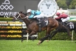 Global Quest Recovering From Slight Setback Prior To Golden Slipper Global Quest Recovering From Slight Setback Prior To Golden Slipper