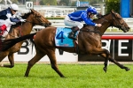 Shahwardi looking for Melbourne Cup penalty after Herbert Power win