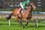 Snitzerland Sizzles in Champagne Stakes