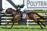 Sesar To Carbine Club Stakes After Roman Consul Stakes Win