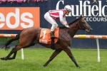 Manfred Stakes 2020 Results: Super Seth onto Australian Guineas