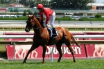 Arthritis-Plagued Secret Flyer Wins Sir John Monash Stakes Arthritis-Plagued Secret Flyer Wins Sir John Monash Stakes