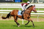 Glory Matters For Weir At Caulfield Glory Matters For Weir At Caulfield