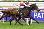 Darley Train Departing, Next Stop Eagle Farm Darley Train Departing, Next Stop Eagle Farm