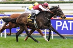 Darley Train Departing, Next Stop Eagle Farm