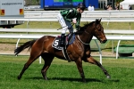 Alcopop’s Spring Carnival Campaign Appears Promising Alcopop’s Spring Carnival Campaign Appears Promising