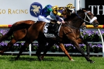 Four-Year-Old Anacheeva Retired To Stud