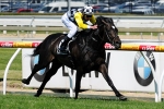 Racing Victoria Close To So You Think Quarantine Solution