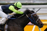 Group 1 Winning Partnership Continues For Payne And Yosei