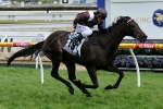 Descarado Ready For Clash Of Speed In Cox Plate