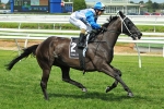 King Mufhasa Down Under For Toorak Triumph