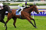 Varenna Missing Stradbroke Key To Wearing Tiara Varenna Missing Stradbroke Key To Wearing Tiara