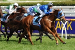 First class field for Goodwood despite missing top two sprinters First class field for Goodwood despite missing top two sprinters