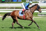 Moudre scratched from Moonee Valley