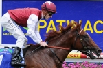 Sepoy One Step Closer To Manikato Win After Easy Trial Victory Sepoy One Step Closer To Manikato Win After Easy Trial Victory