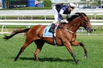 Zipping’s Future In Doubt After Leg Injury Zipping’s Future In Doubt After Leg Injury