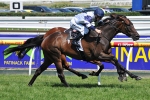 Folding Gear Seeks Caulfield Cup Ballot Exemption Folding Gear Seeks Caulfield Cup Ballot Exemption