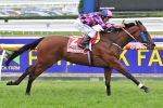 Injury Ends Heart Of Dreams Spring Carnival