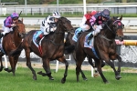 Paddy aiming to be hometown hero in 2011 Ballarat Cup